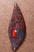 Dinosaur bone