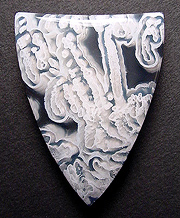 Ochoco lace agate, very ornate doublet on black basenite.