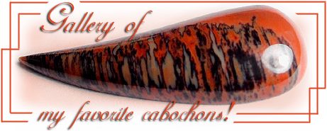 Arizona petrified wood, what I call FIRE wood! Just BRILLIANT!