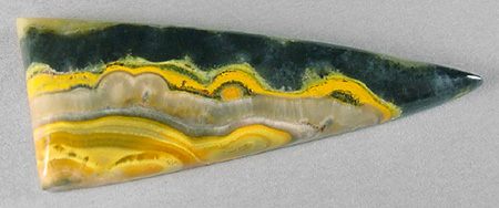 Bumblebee jasper cab