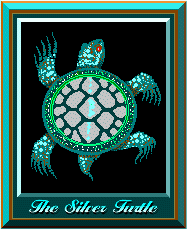 The Silver Turtle